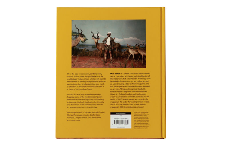 ilex-press-ctopus-african-art-now-books.jpg